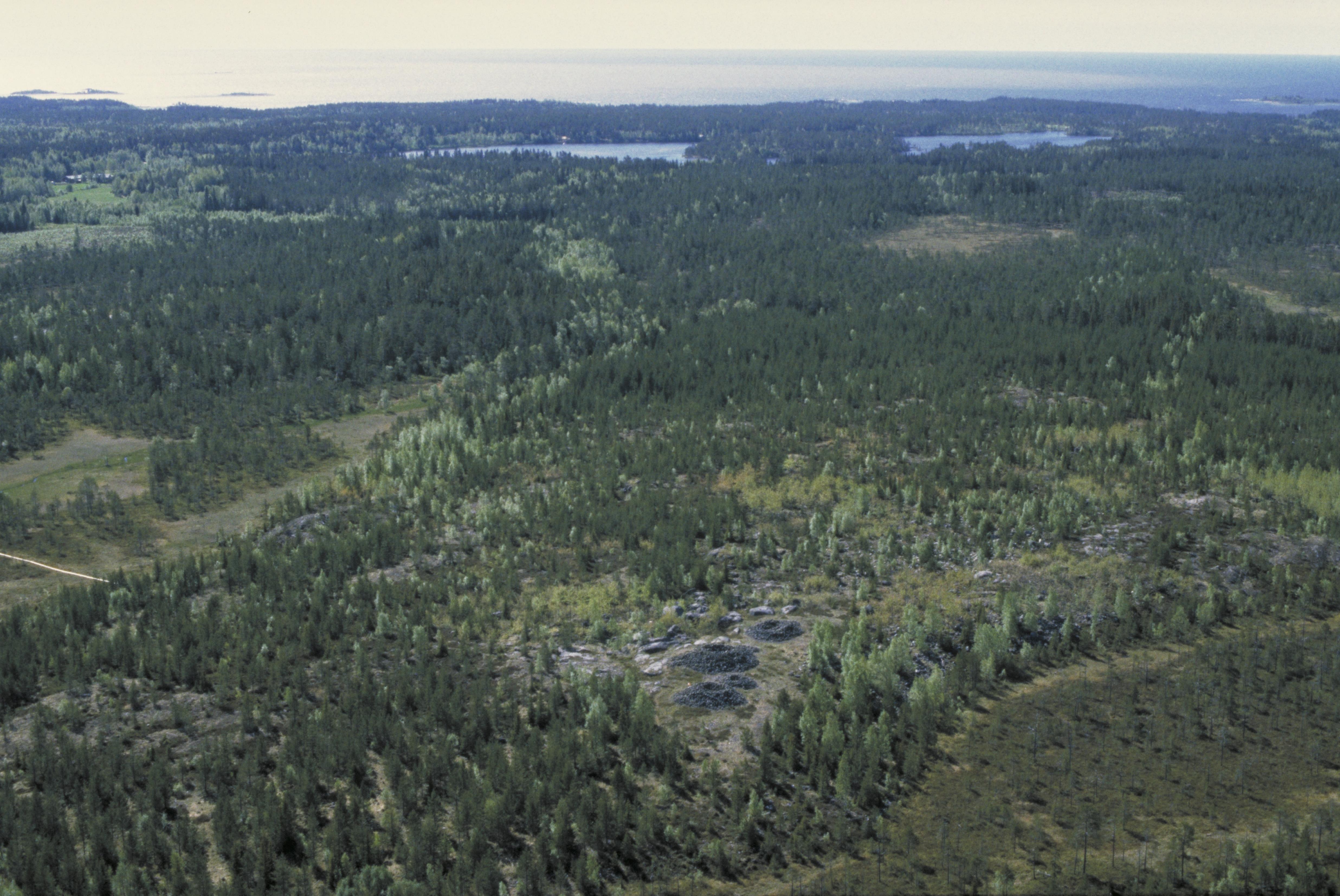 Jan Norrman, Umeå stad 45:1