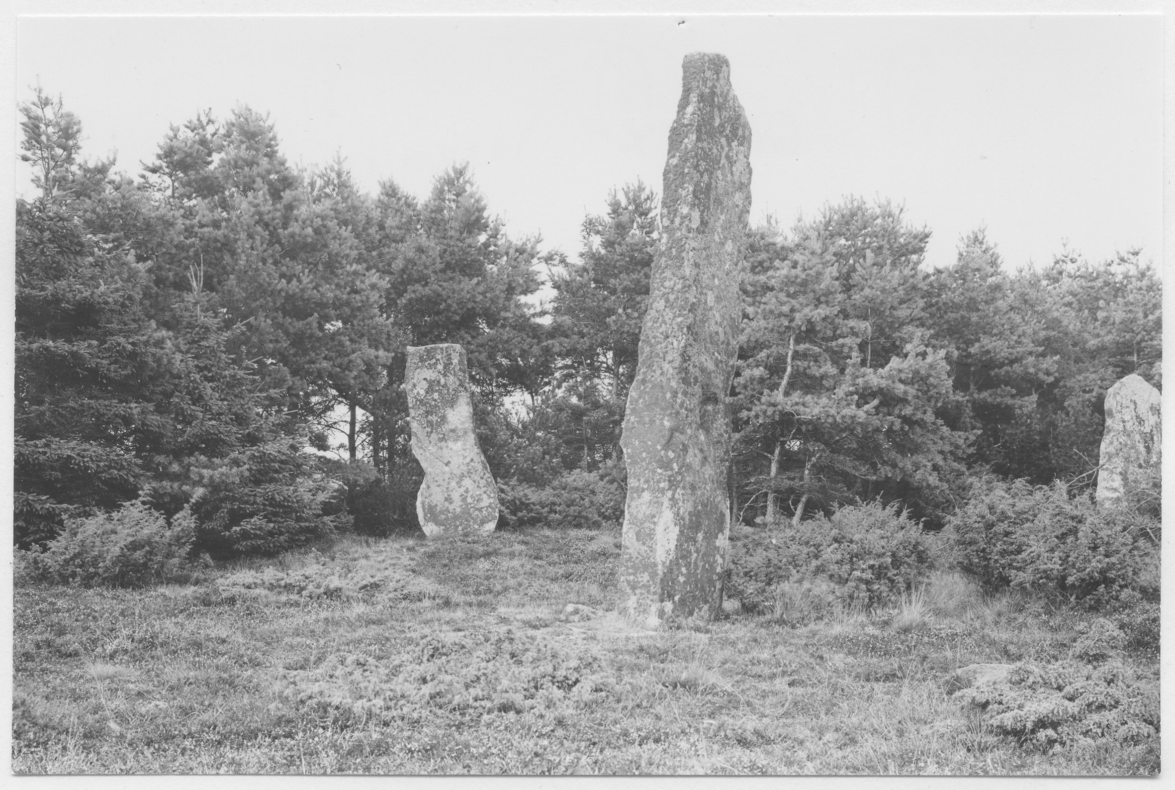Mårten Sjöbeck, Tanum 734:1