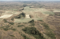 Södra Möckleby 1:1