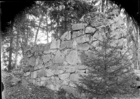 Skog, Sankt Olofs kapellruin