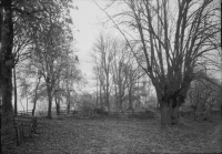 Fogdö, Vårfruberga klosterruin