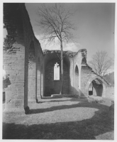 Alvastra klosterruin