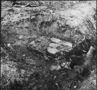 Sigtuna Dominikanerkloster