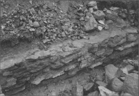 Skänninge, Allhelgona Församling