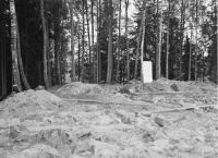 Glava, Gamla kyrkplatsen Vid Fors, Gladisvall