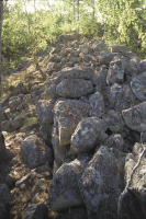 Fornborgen Stora Skansen