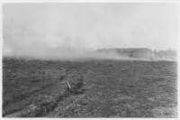 Ljungbränning på Hallandsås