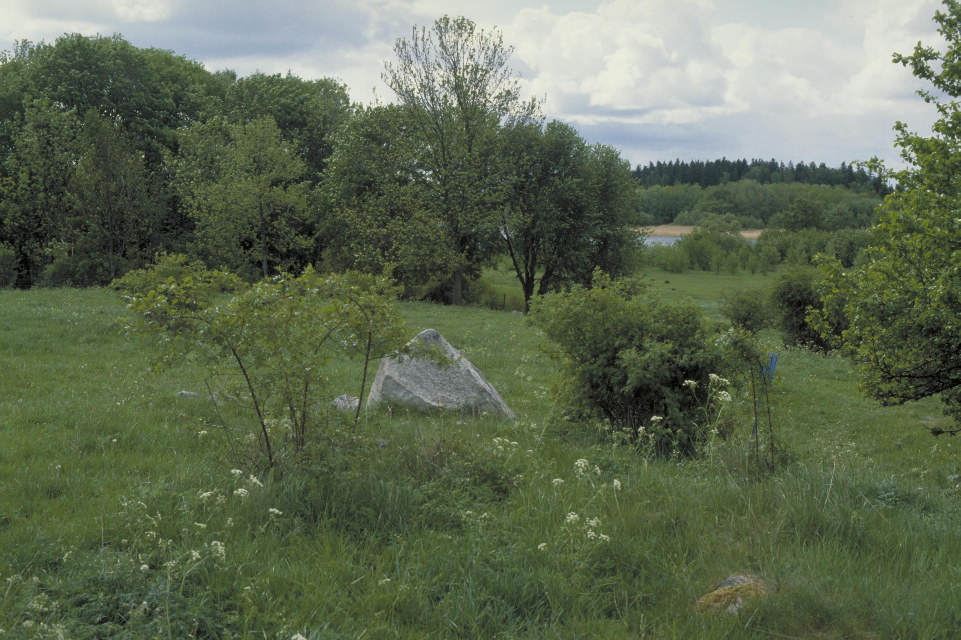 Bengt A Lundberg, U11 Adelsö Hovgården