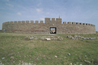 Image of Öl ACTARC37;211