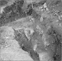 Mariefred, Kartusianerklostrets ruin