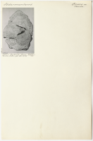 Vansta. Runsignum Sö 253