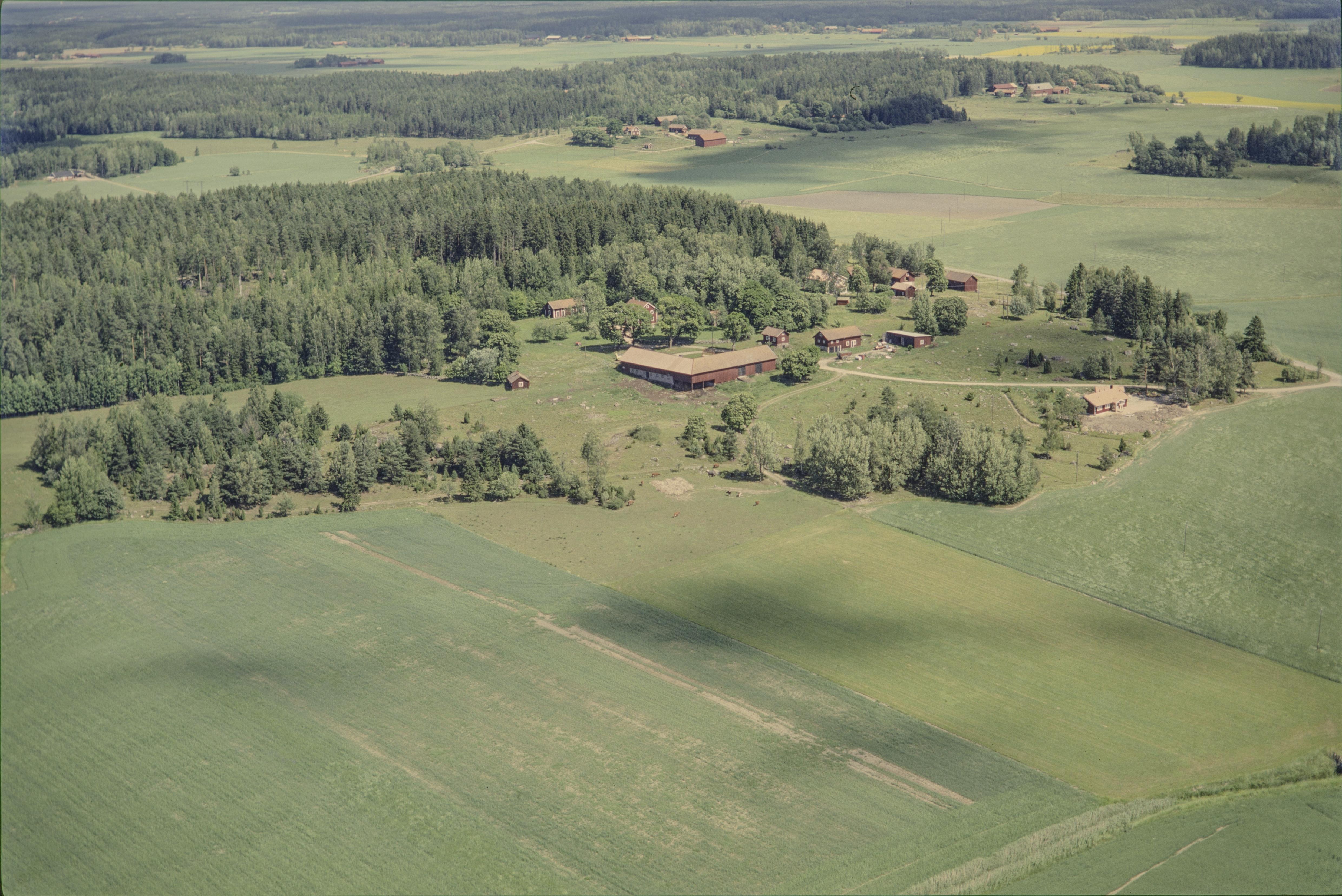 Jan Norrman, Munktorp 271:1