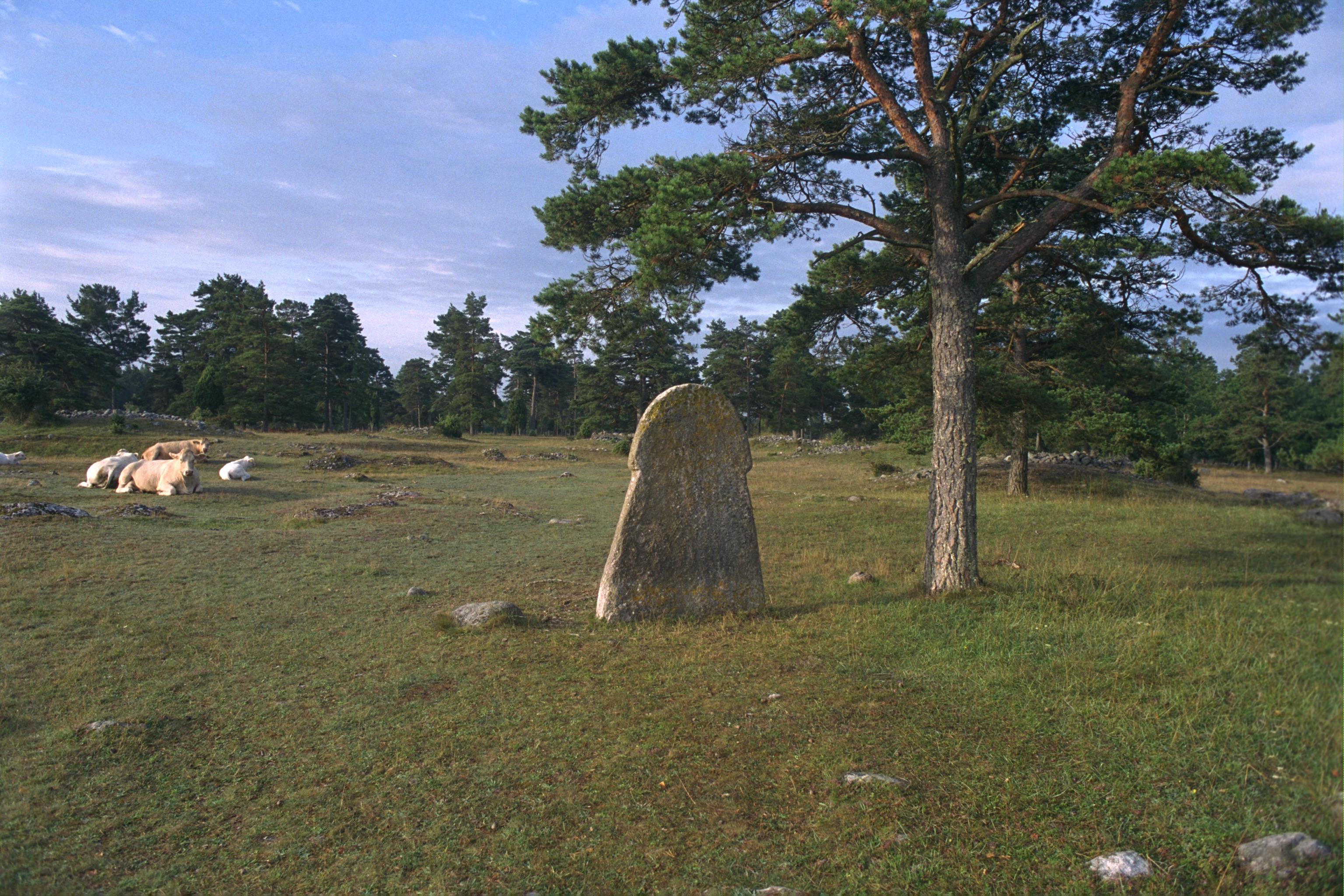 Bengt A Lundberg, G109 Alskog Gålrum