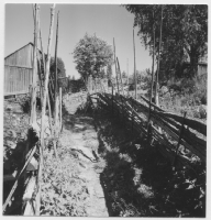 Indalsälven mellan Hack och Bäck