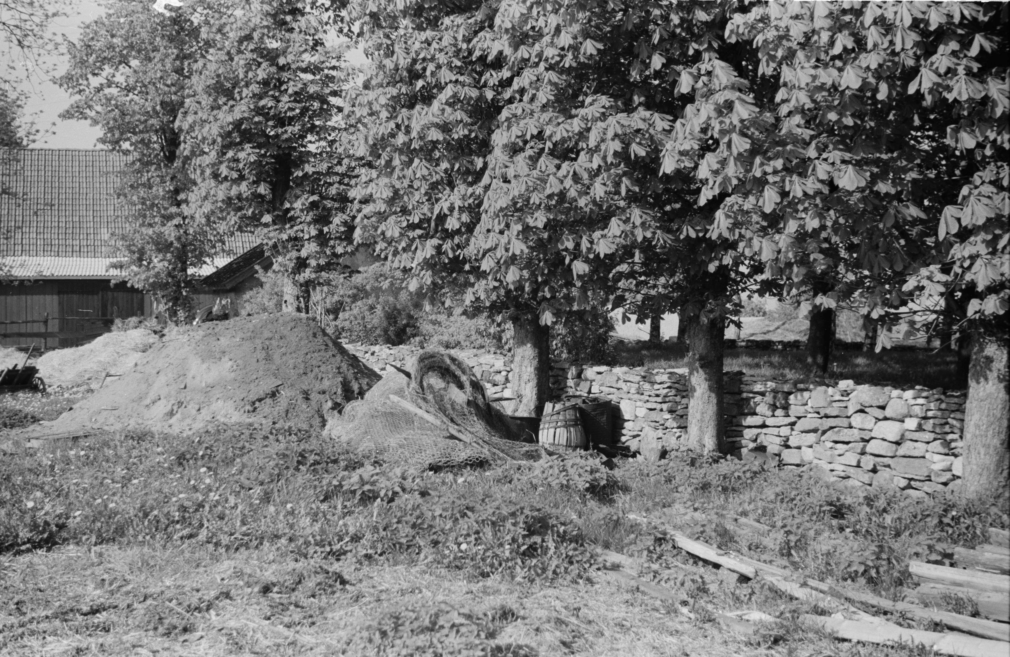 Bertil Berthelson, Friggeråkers kyrkoruin