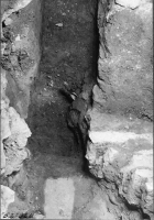 Skara domkyrka (Sankta Maria kyrka)