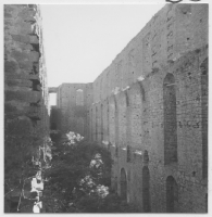 Borgholms slottsruin