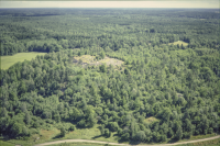 Husby-Långhundra 156:1