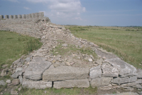 Image of Öl ACTARC37;211