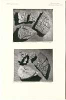 Allhelgonakyrkan. Runsignum Ljung 493, Ljung 491, Ljung 492, Ljung 490, Ög ATA6550/59F