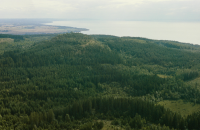 Västra Tollstad 17:1