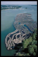 Fågelö i Södermanland