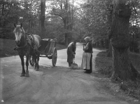 Renhållning med häst och vagn