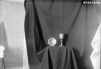 Image of Bo NIYR5;221A