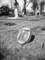 Image of Vg Fv2007;37