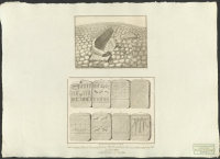 [Kiviksgraven].[Bild]