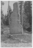 Minnessten, omedelbart söder om Tagelmyren, Gottåsa