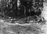 Skog, Sankt Olofs kapellruin