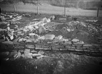 Varnhems klosterruin