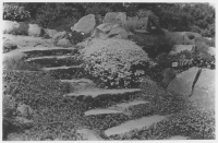 Göteborgs botaniska trädgård