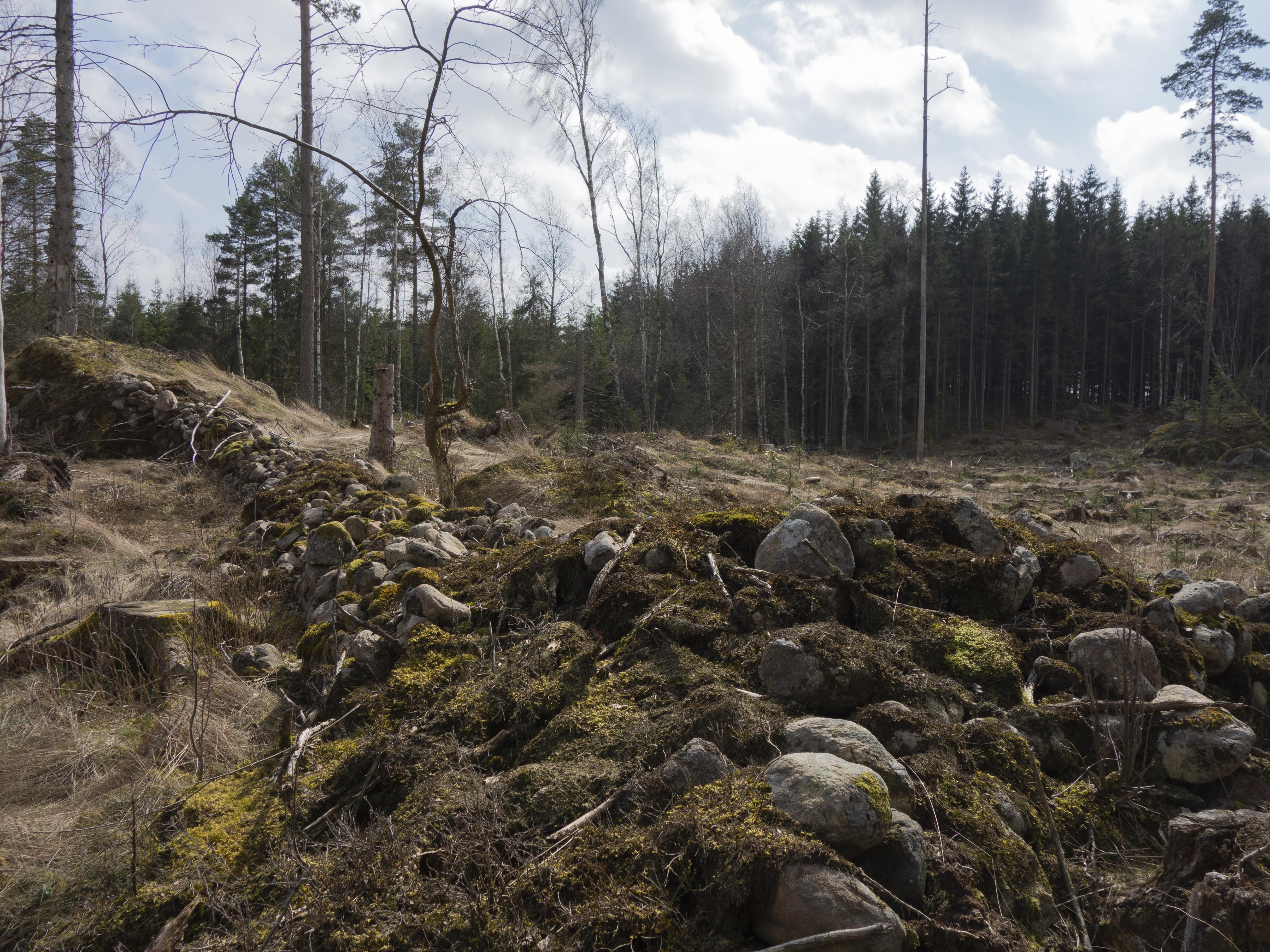 Leif Gren, Femsjö 71:1