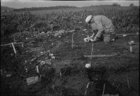 Alvastra pålbyggnad