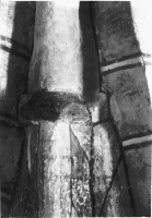 Strängnäs Domkyrka