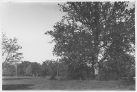 Värnanäs herrgård