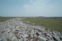 Image of Öl NOR2002;37