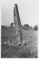 Image of Bo Peterson1992