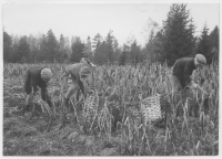 Råshult Södregård