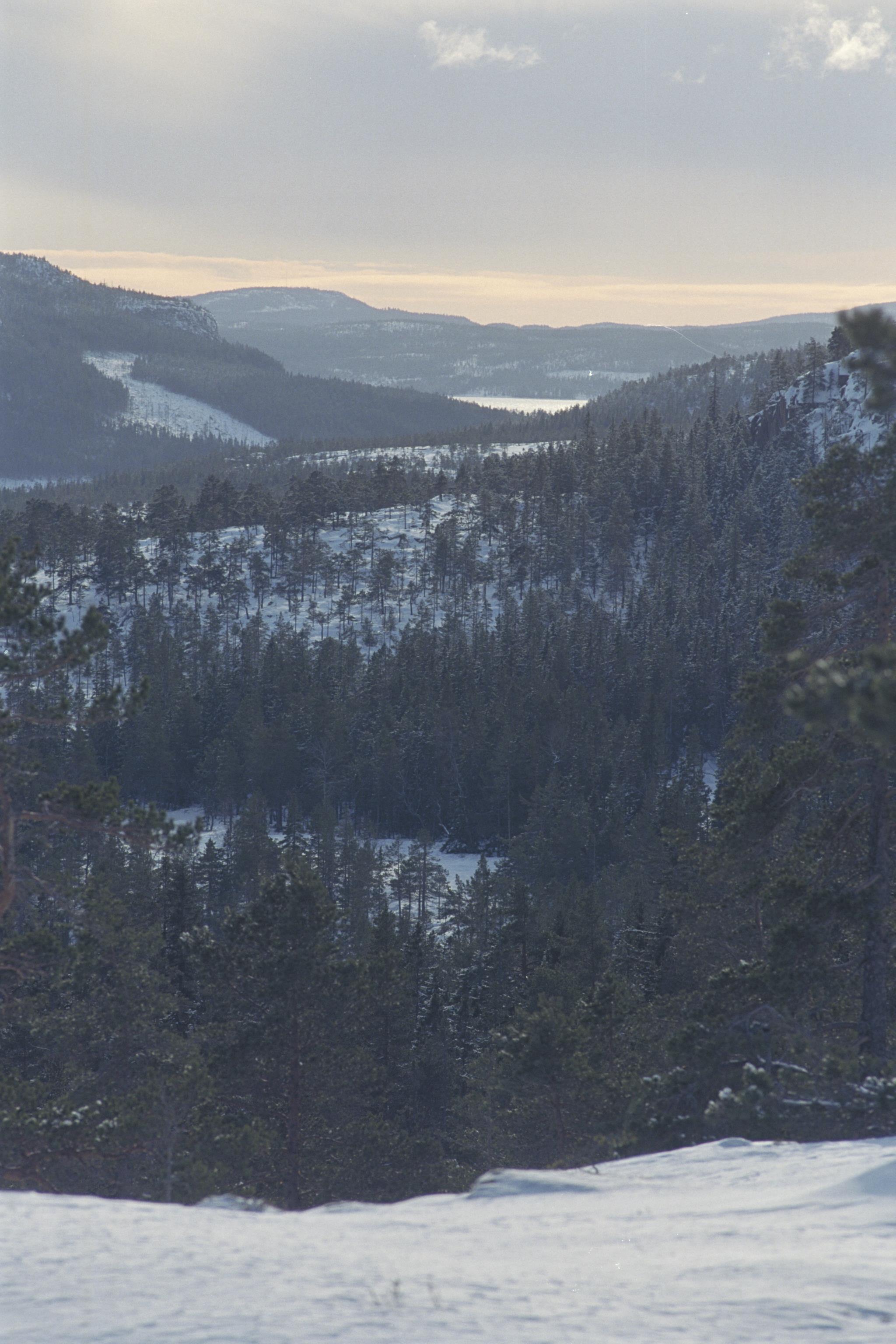 Bengt A Lundberg, Skuleskogens Nationalpark