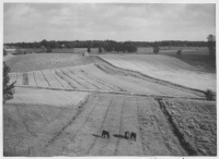 Vid norra stranden av Örsjön