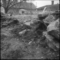 Mariefred, Kartusianerklostrets ruin