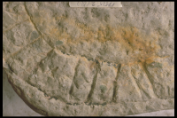 Image of Öl Köping3