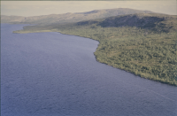 Kiepanjaure - Giehpanvárri