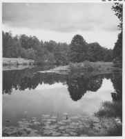 Lagan mellan Axhult och Timsfors