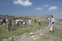 Image of Öl ACTARC37;211