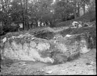 Mariefred, Kartusianerklostrets ruin