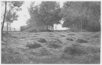 Skallsjö ödekyrkogård